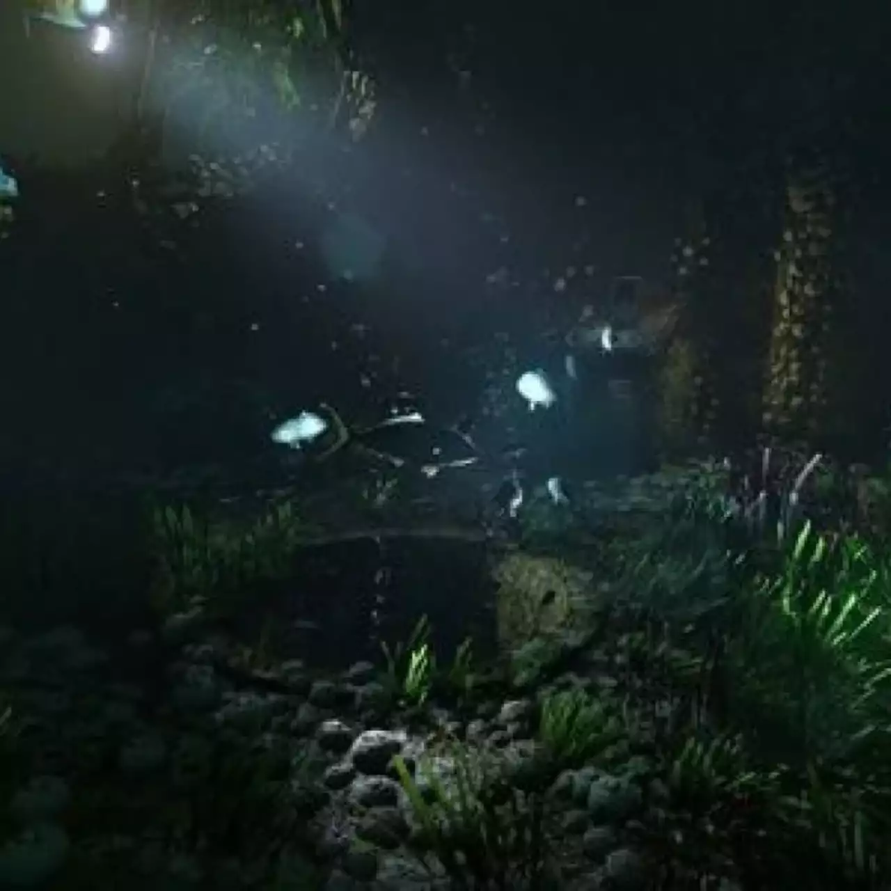 Новый трейлер SOMA посвятили окружению игры