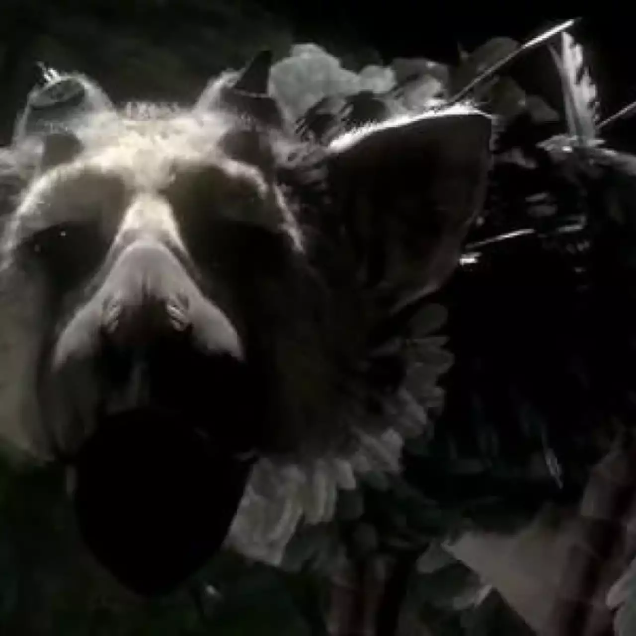 The Last Guardian посетит Tokyo Game Show 2015 The Last Guardian посетит Tokyo Game Show 2015