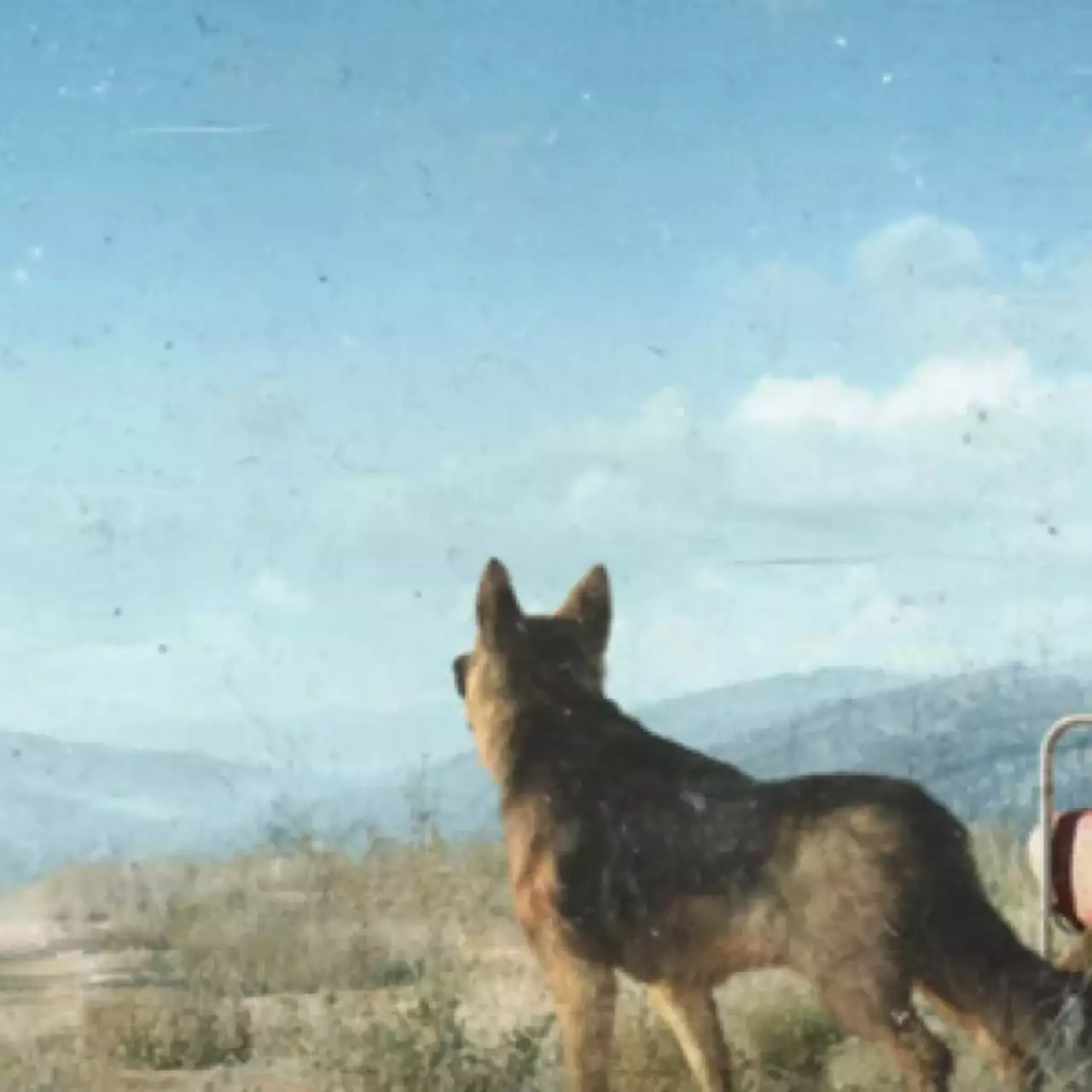 В сеть «слили» 5 минут геймплея Fallout 4