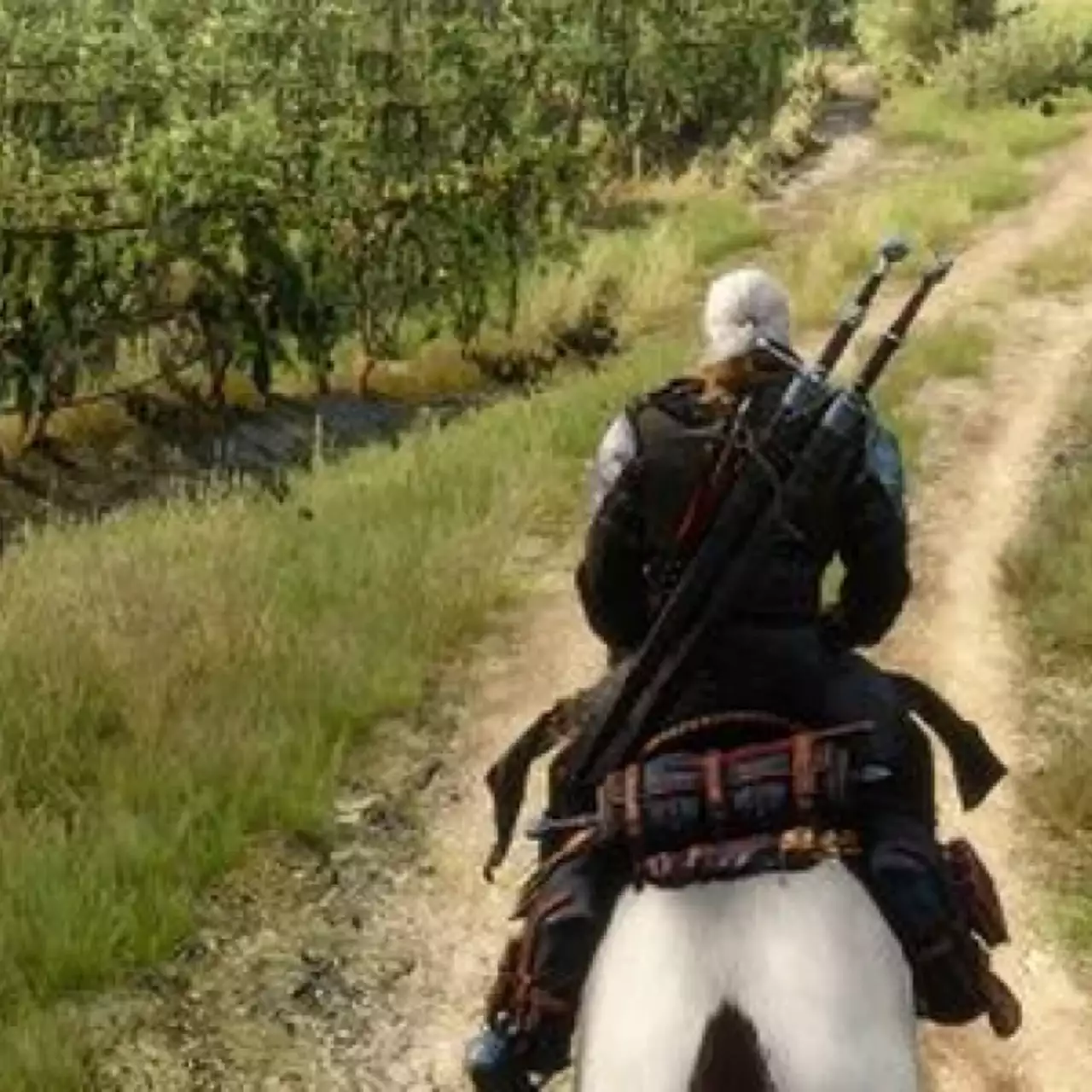 Создатели Witcher 3: Wild Hunt напомнили нам основы выживания в открытом мире игры