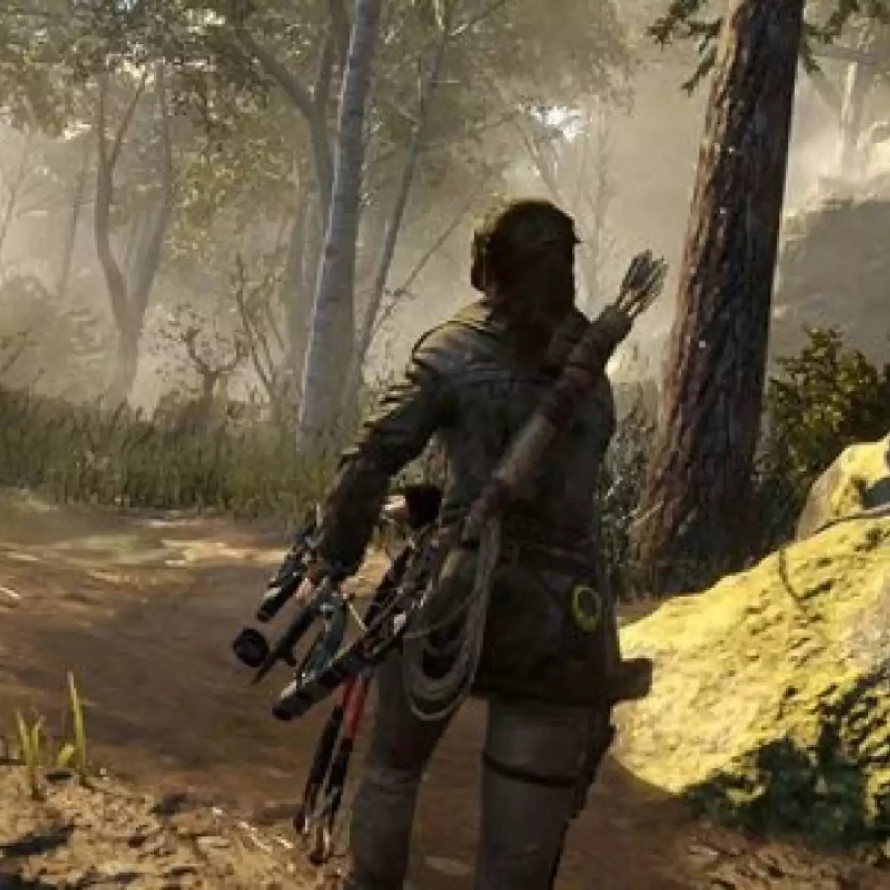 Стало известно, когда Rise of the Tomb Raider выйдет на PC