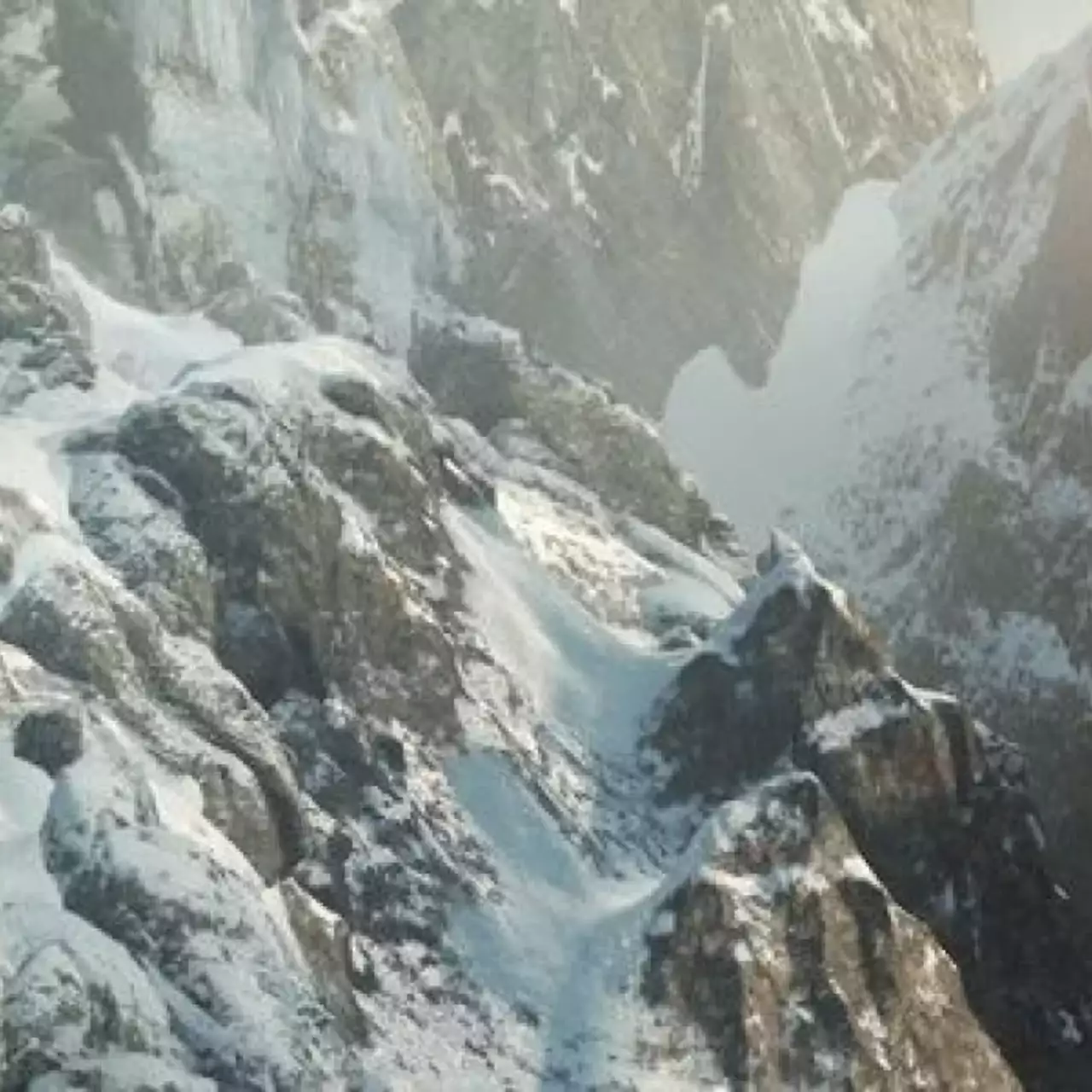 Microsoft заплатила 20 млн. $ за временную эксклюзивность Rise of the Tomb Raider, считают аналитики