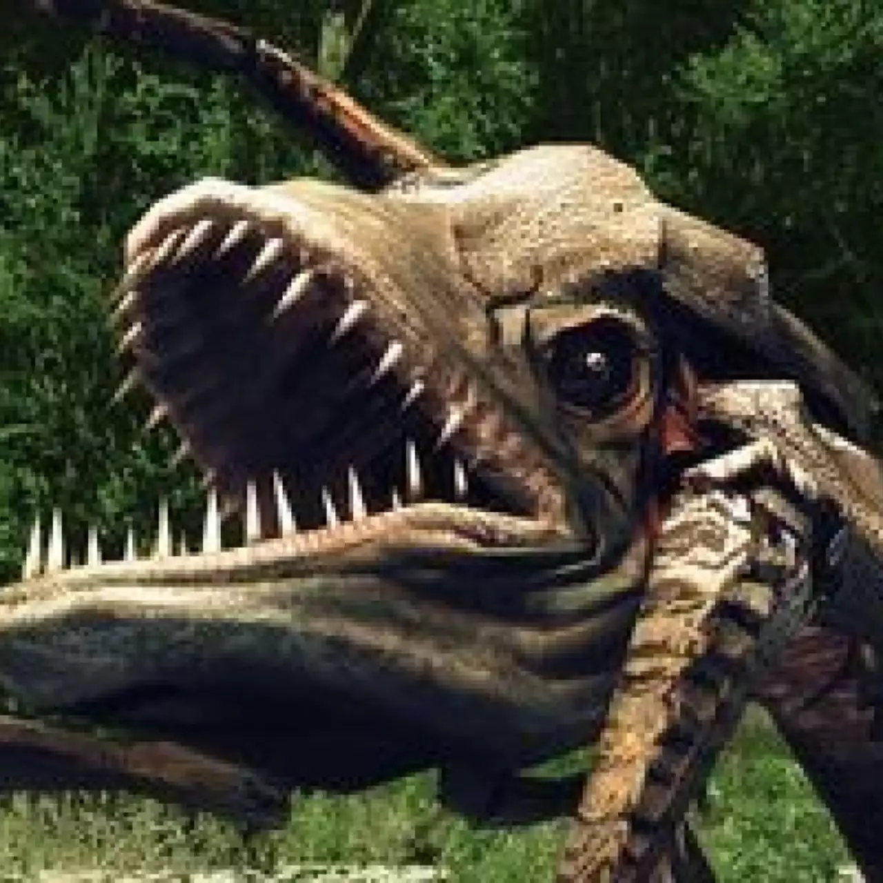 Дата выхода Risen 2: Dark Waters в Европе и США Дата выхода Risen 2: Dark Waters в Европе и США