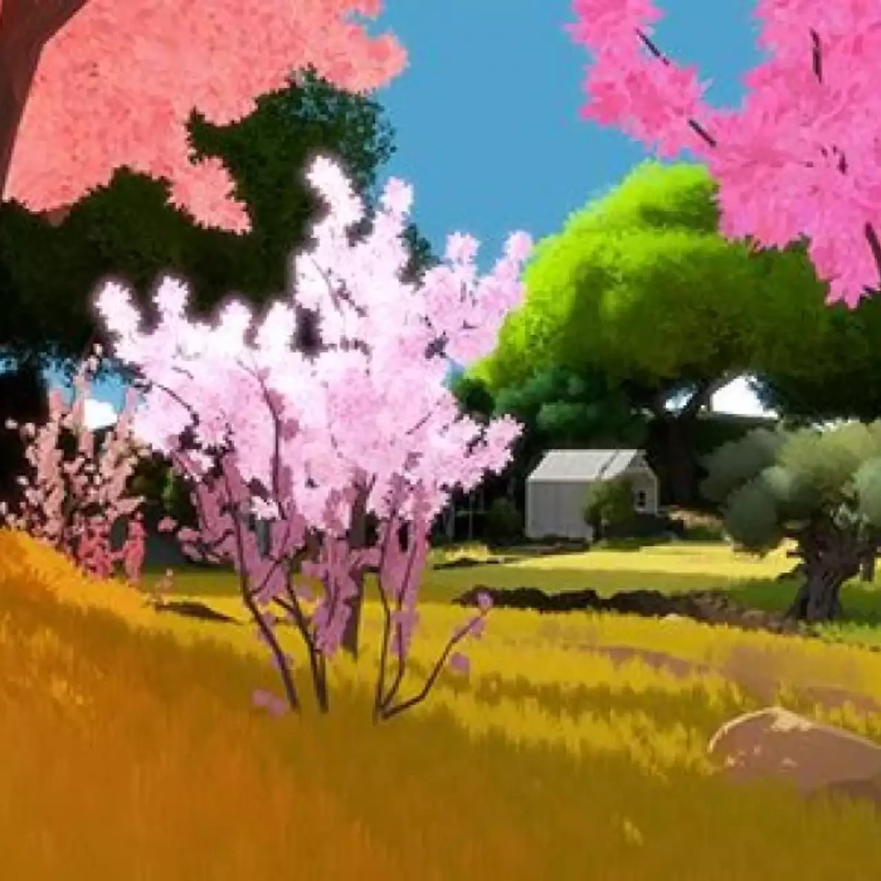 The Witness обогнала Braid по продажам The Witness обогнала Braid по продажам