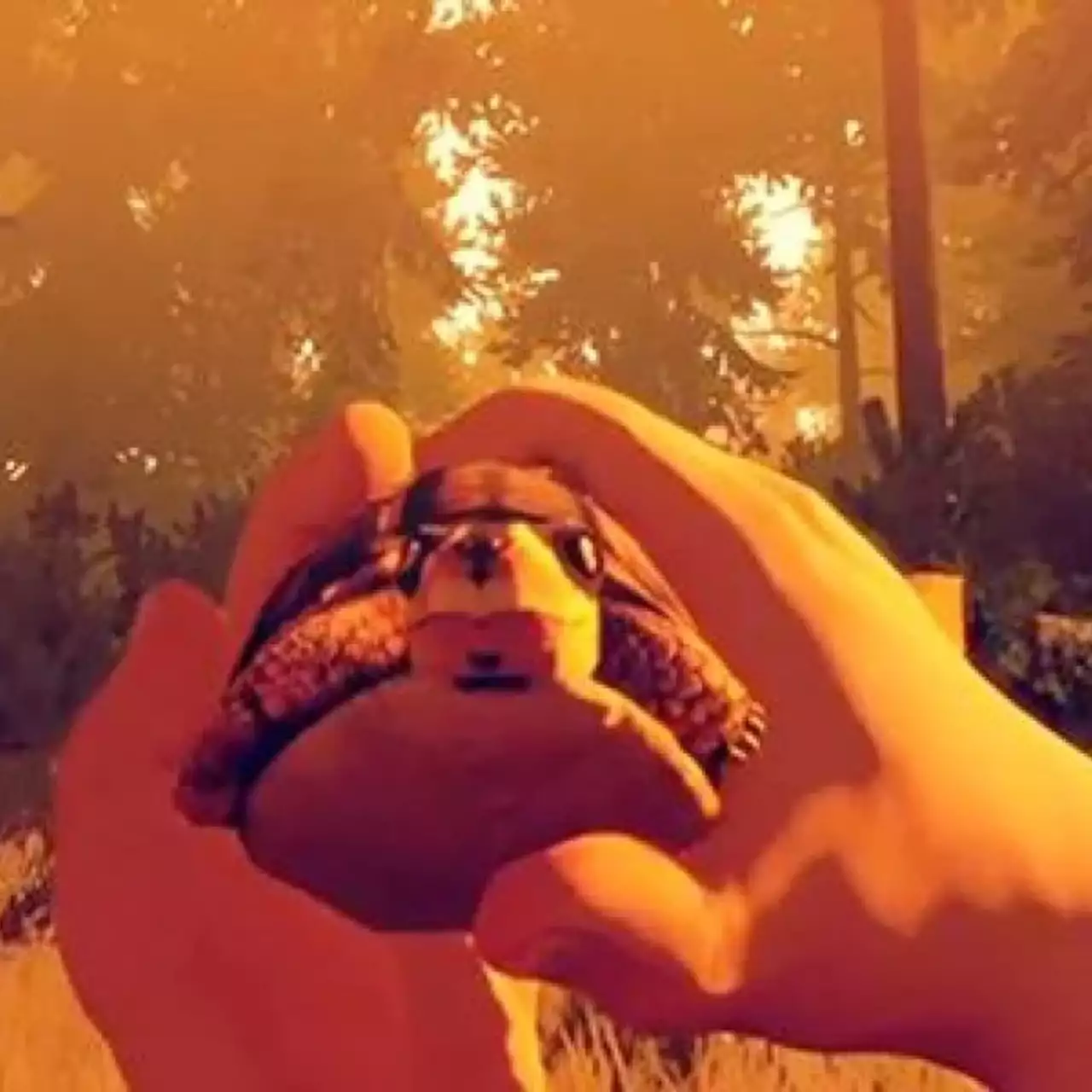 Оценки Firewatch — неожиданный сюрприз Оценки Firewatch — неожиданный сюрприз