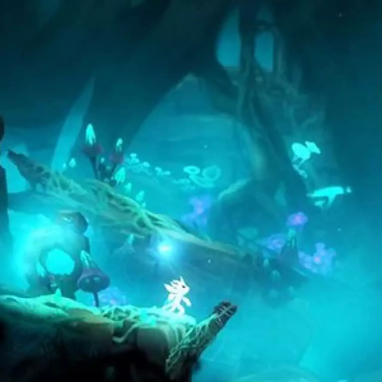 Ori and the Blind Forest: Definitive Edition выйдет на PC через неделю