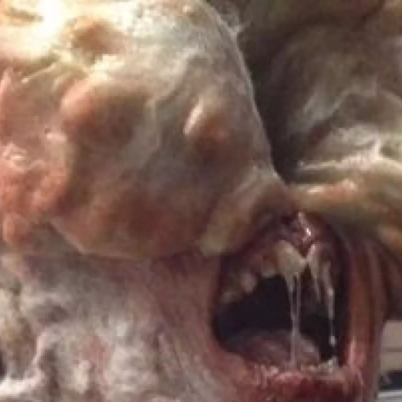 Naughty Dog показала, насколько мерзкие противники в The Last of Us Naughty Dog показала, насколько мерзкие противники в The Last of Us
