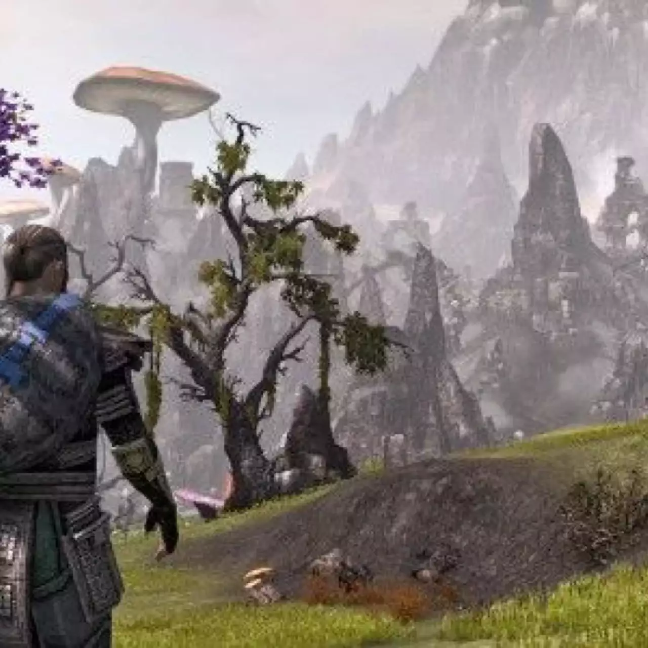 В Elder Scrolls Online можно будет строить дома и ходить в парикмахерскую В Elder Scrolls Online можно будет строить дома и ходить в парикмахерскую