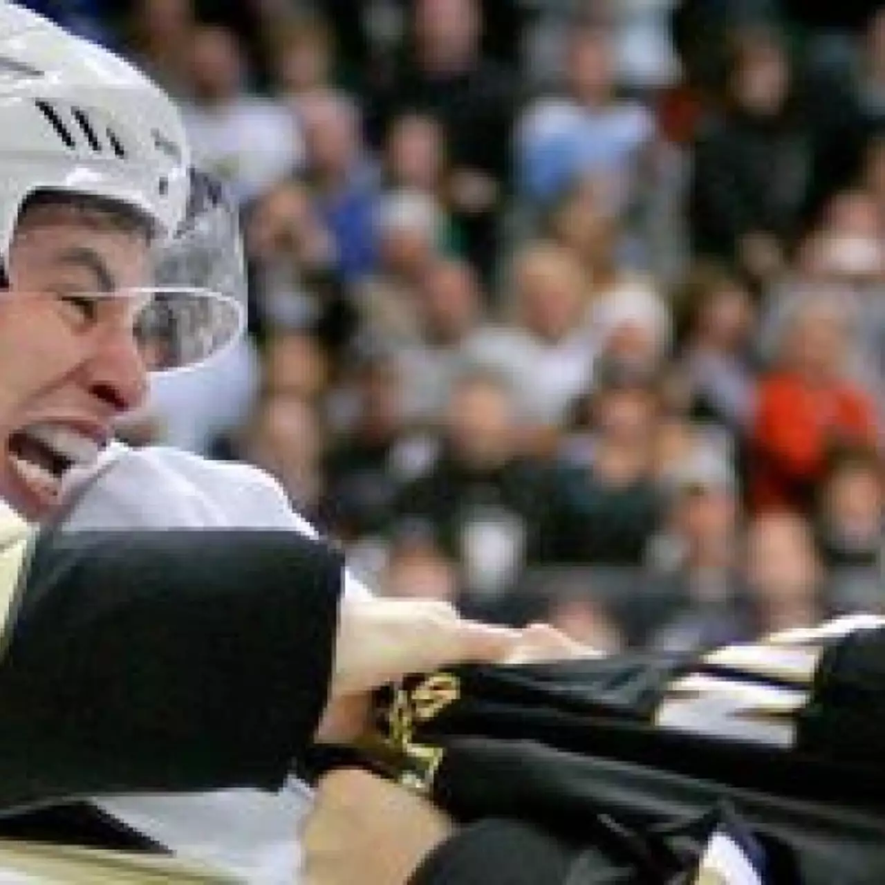 Проголосуй за лицо NHL 13