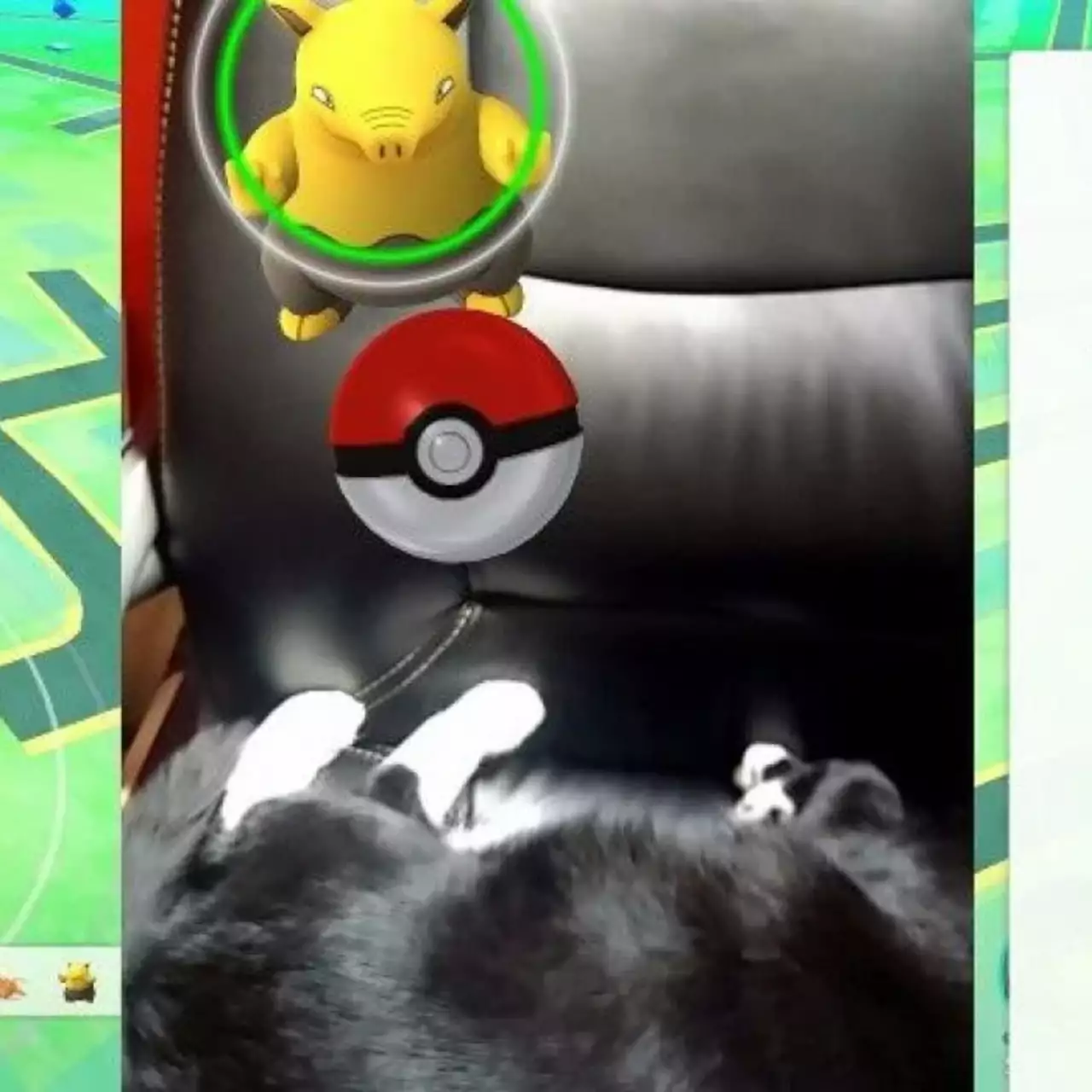Два морпеха поймали преступника, пока играли в Pokemon Go
