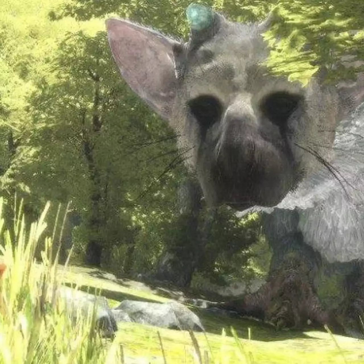 Sony опубликовала новые скриншоты The Last Guardian Sony опубликовала новые скриншоты The Last Guardian