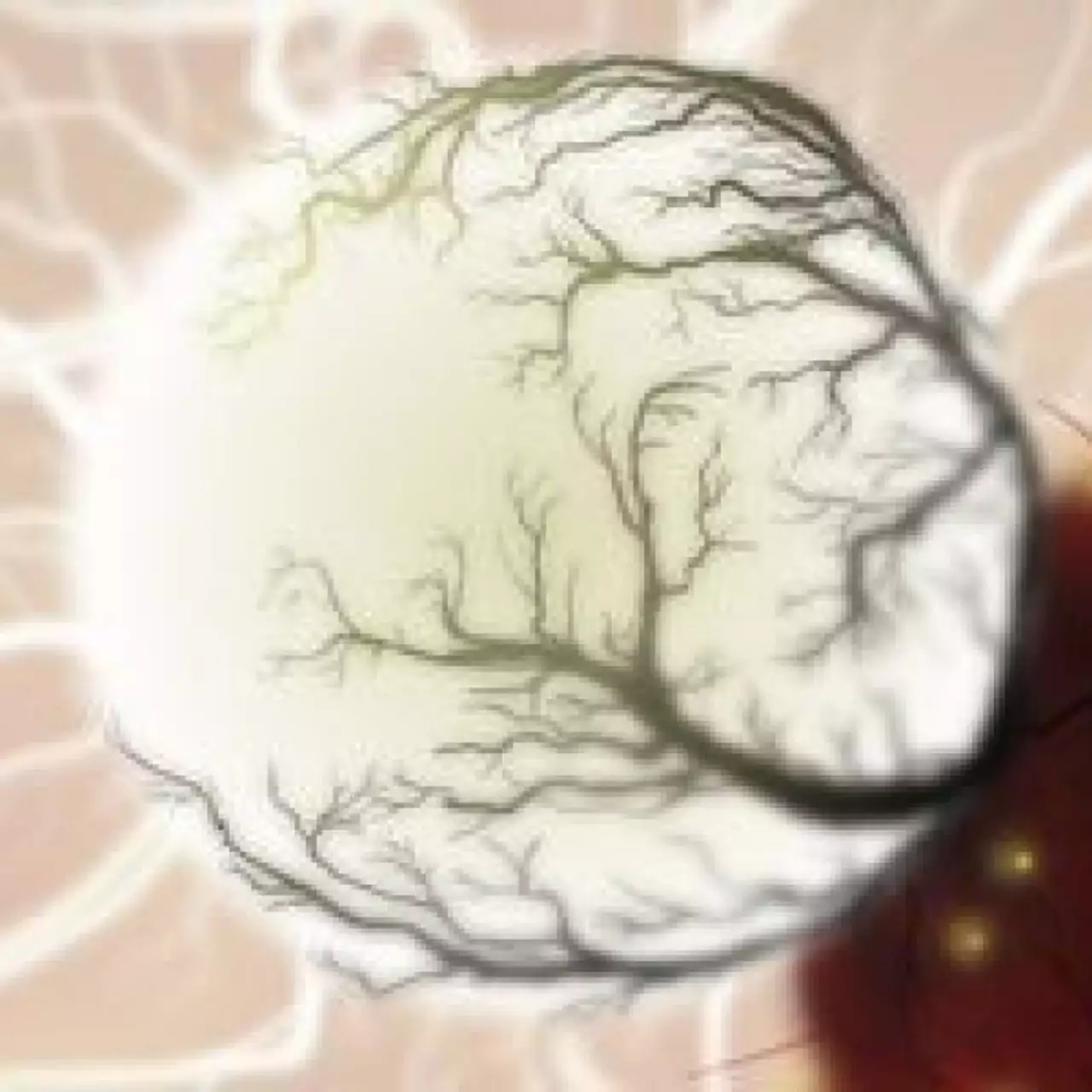 Дата выхода Botanicula