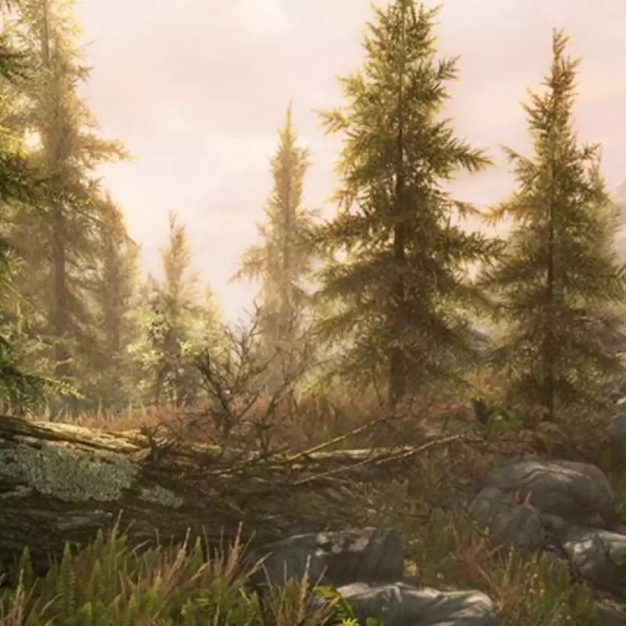 TES 5: Skyrim Special Edition «ушла на золото». В игре будет обновленный Creation Kit