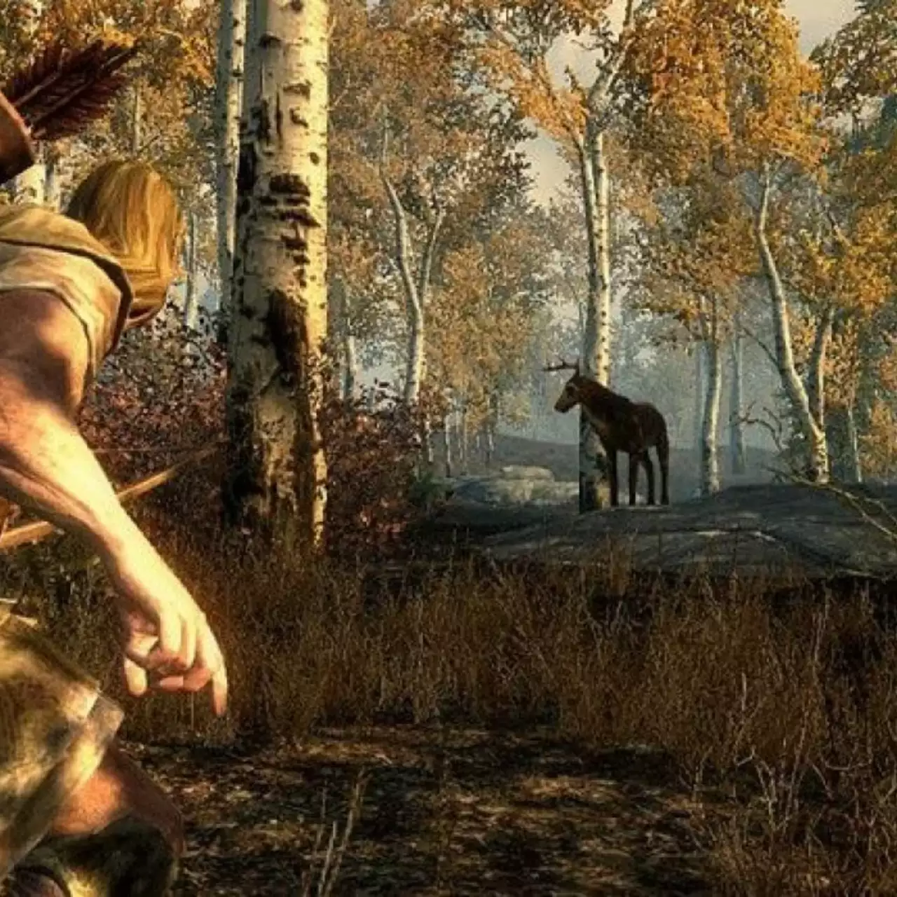 FPS в Skyrim Special Edition ниже на PS4 Pro, чем на PS4