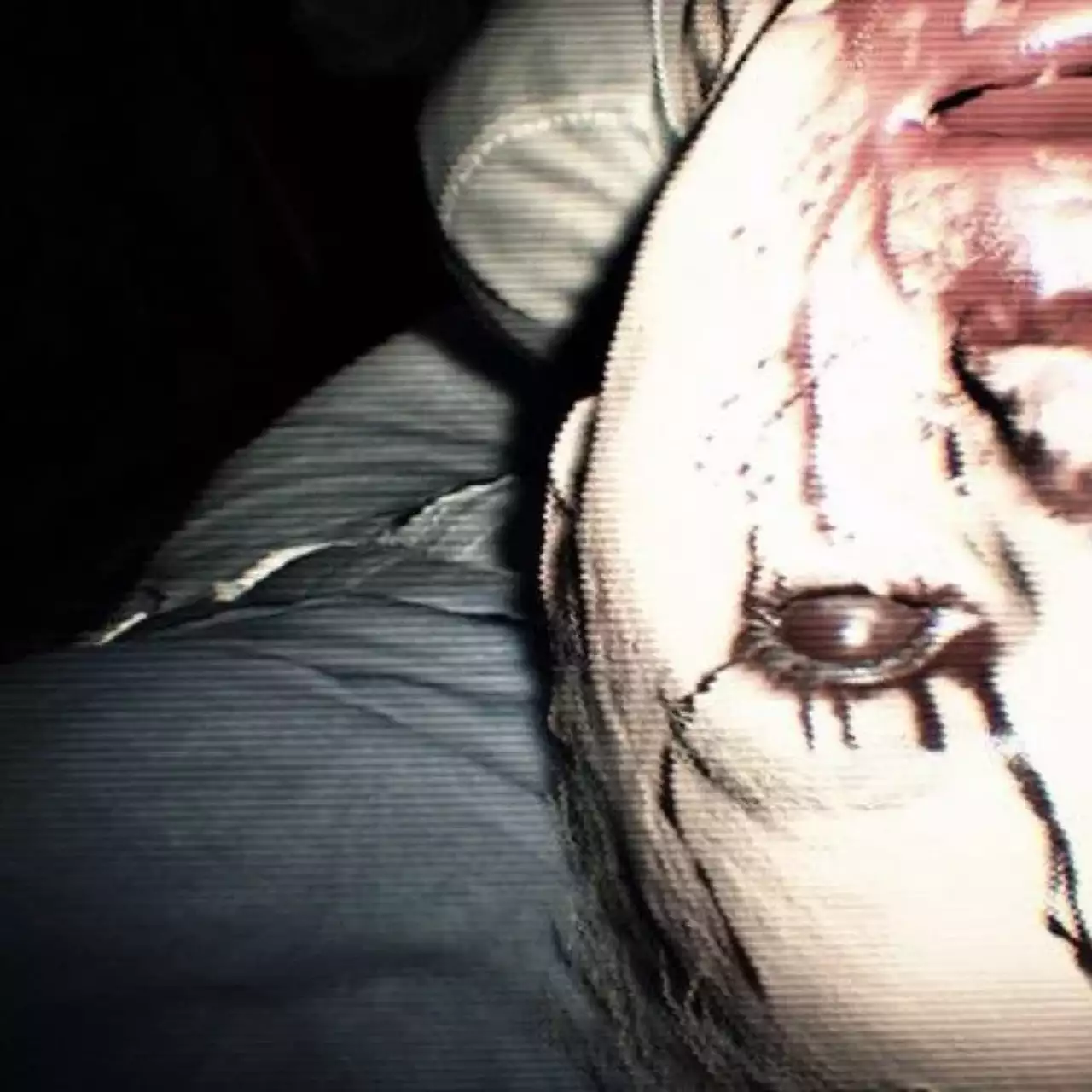 Capcom поделилась новой информацией о Resident Evil 7 Capcom поделилась новой информацией о Resident Evil 7