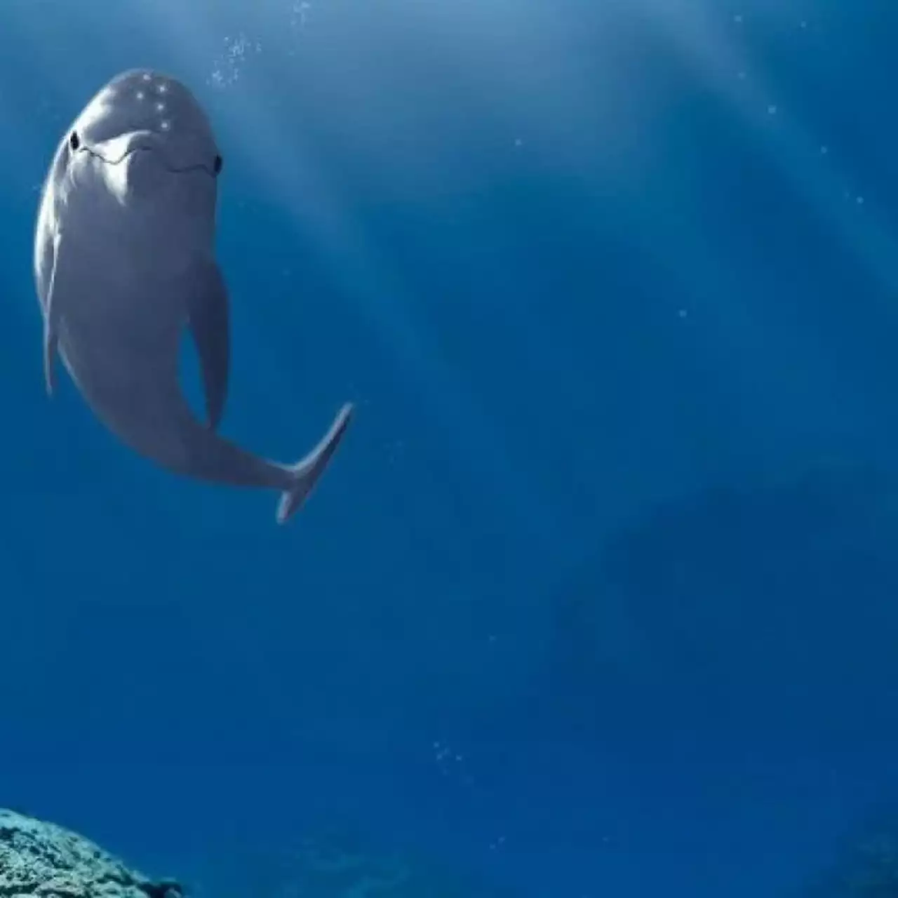 Создатель Ecco the Dolphin вернул права на свою игру Создатель Ecco the Dolphin вернул права на свою игру