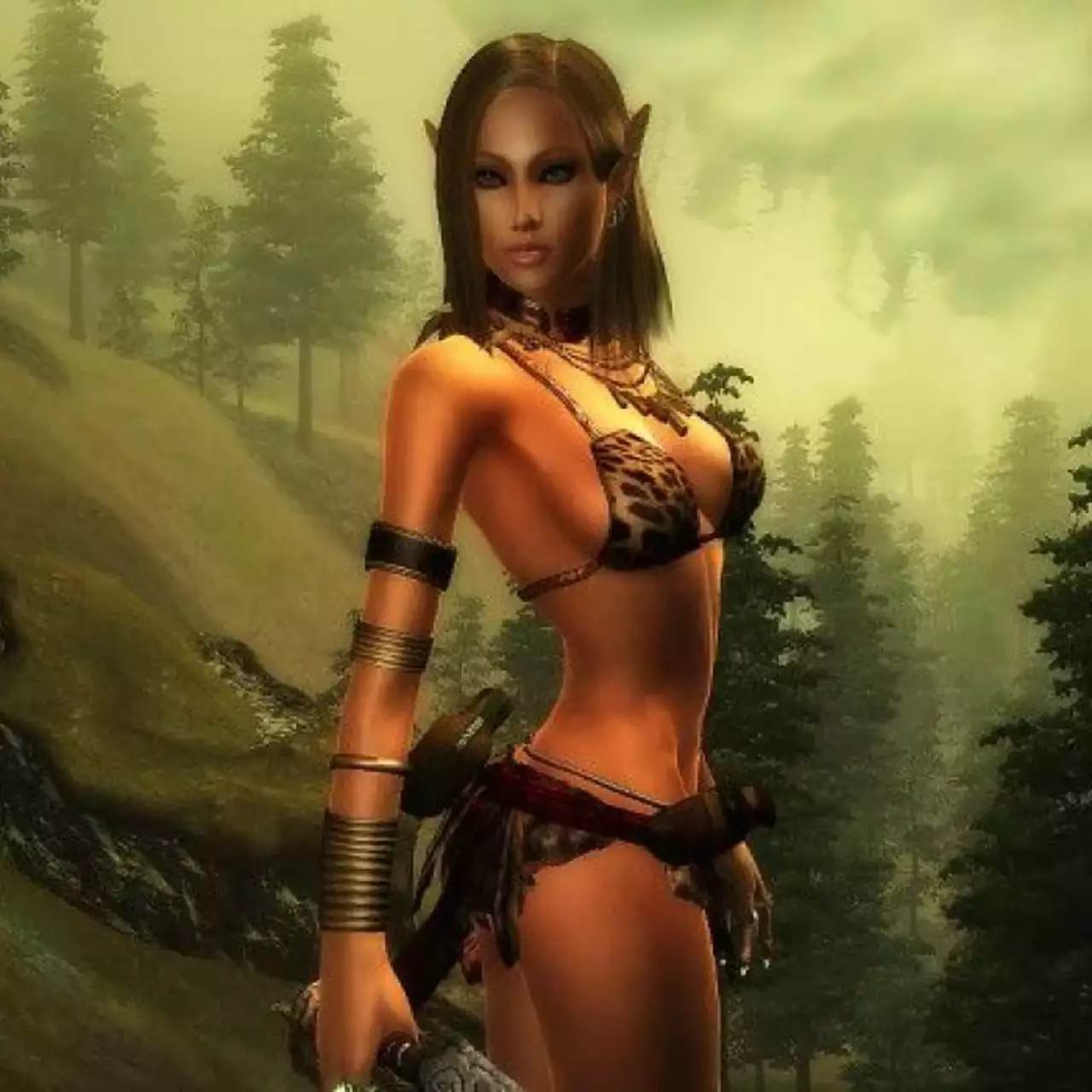 Bethesda отказалась от переиздания других игр из серии Elder Scrolls
