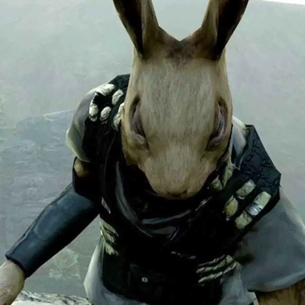 По экшену про зайцев Overgrowth стартовало бета-тестирование По экшену про зайцев Overgrowth стартовало бета-тестирование