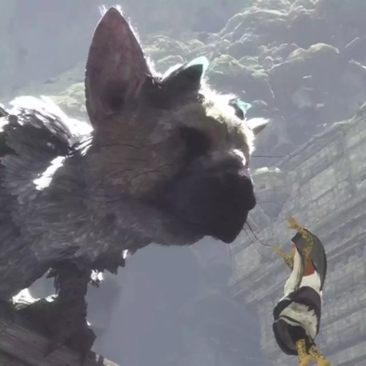 Sony снизила цену на The Last Guardian почти в два раза Sony снизила цену на The Last Guardian почти в два раза