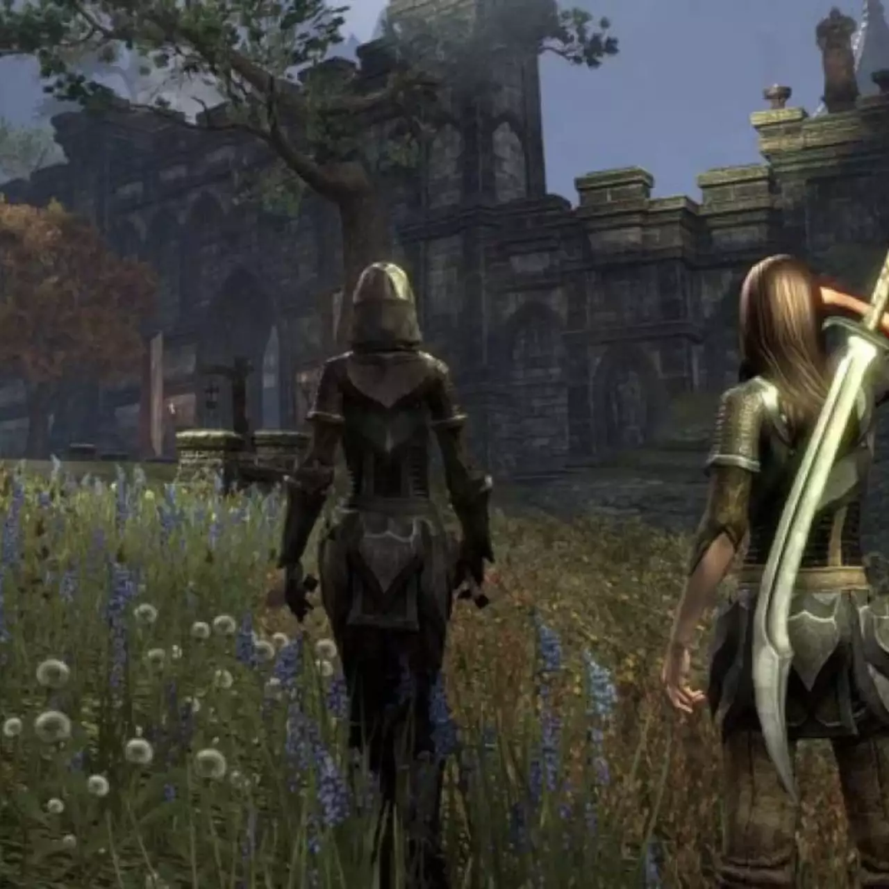 Опубликован геймплей дополнения Morrowind для Elder Scrolls Online Опубликован геймплей дополнения Morrowind для Elder Scrolls Online