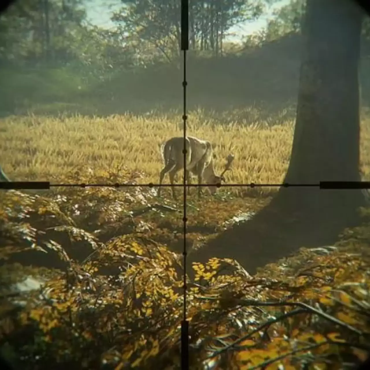Симулятор охоты theHunter: Call of the Wild выйдет на консолях Симулятор охоты theHunter: Call of the Wild выйдет на консолях