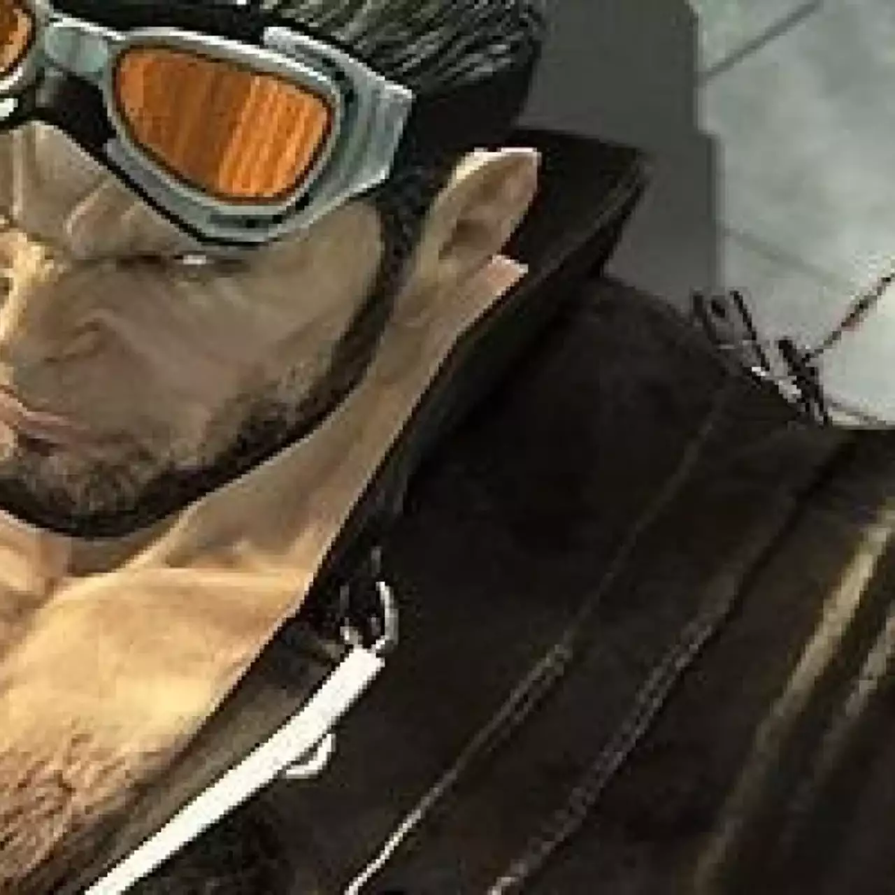 Anarchy Reigns: геймплейное видео Anarchy Reigns: геймплейное видео