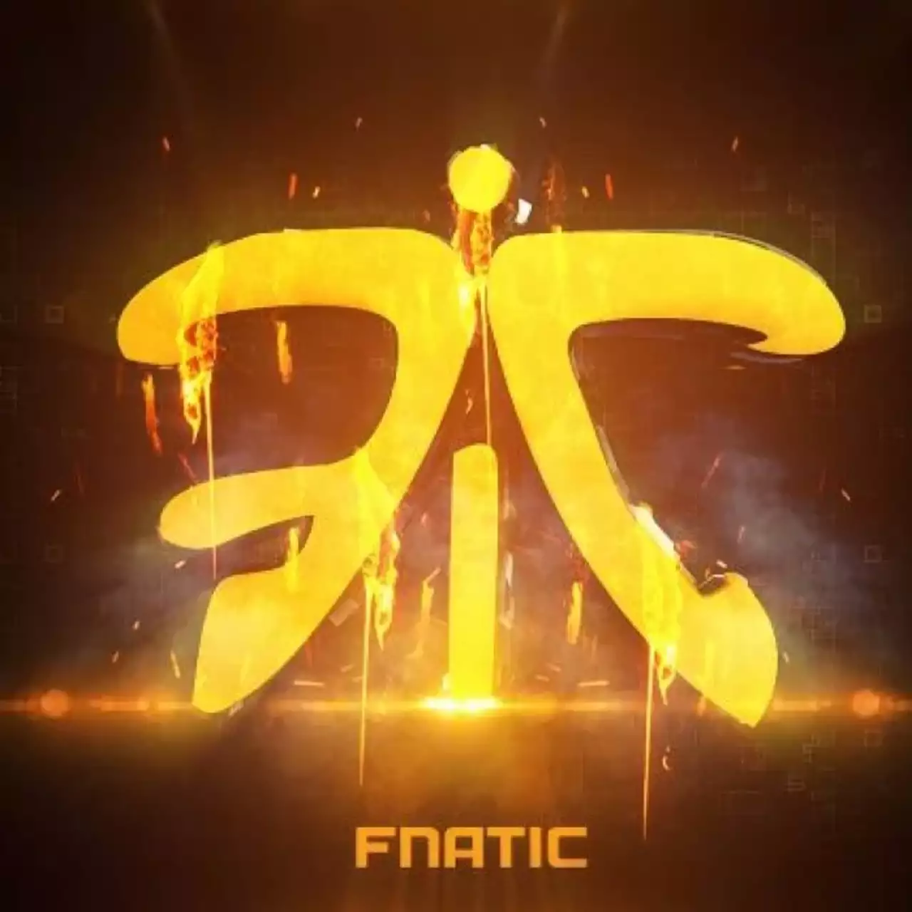 Fnatic получила 7 000 000 $ от инвесторов