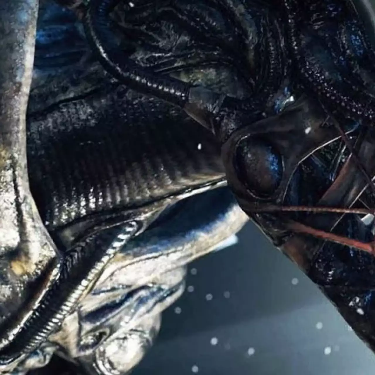 Eurogamer опроверг слухи об Alien: Isolation 2 Eurogamer опроверг слухи об Alien: Isolation 2