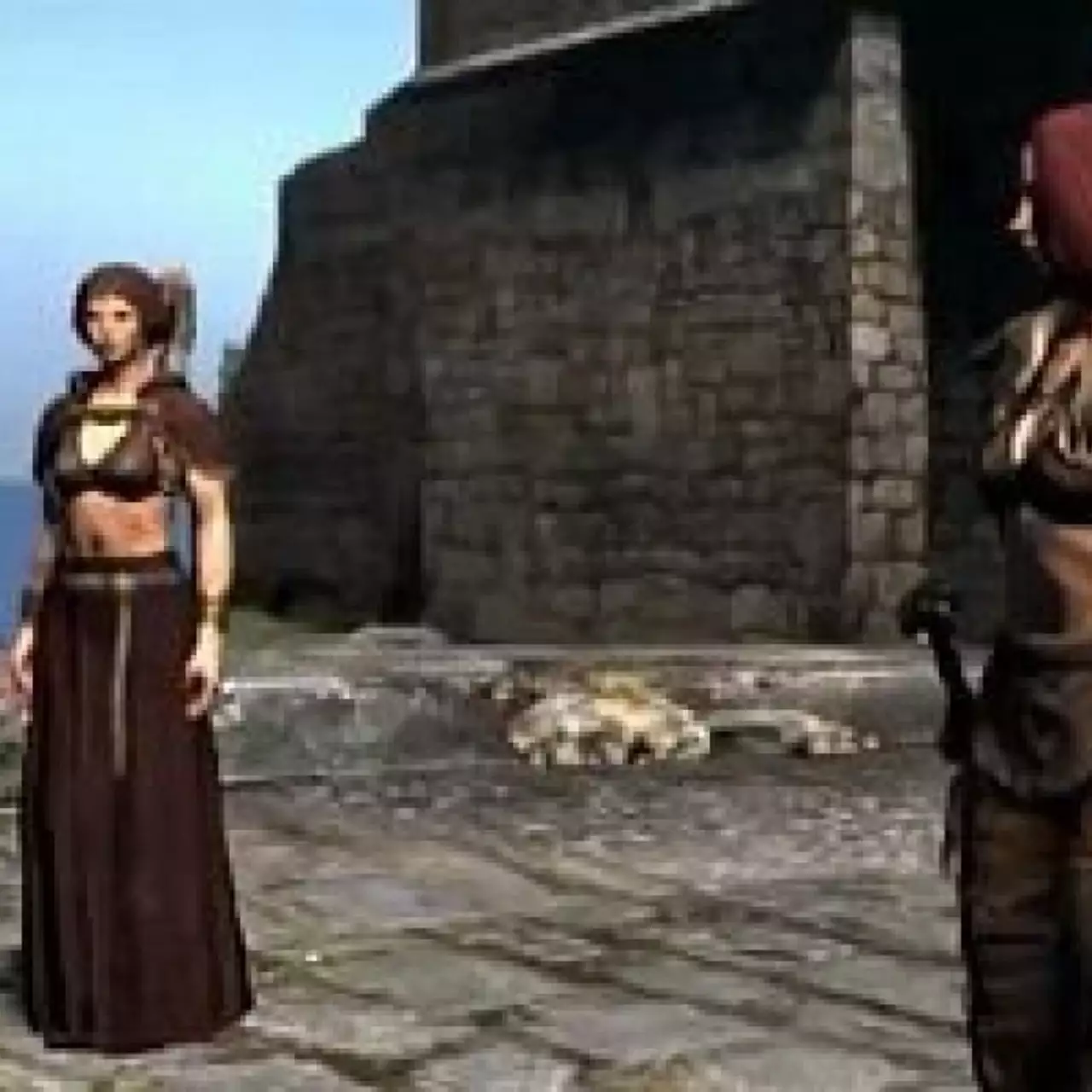 Дневник разработчиков Dragon's Dogma Дневник разработчиков Dragon's Dogma