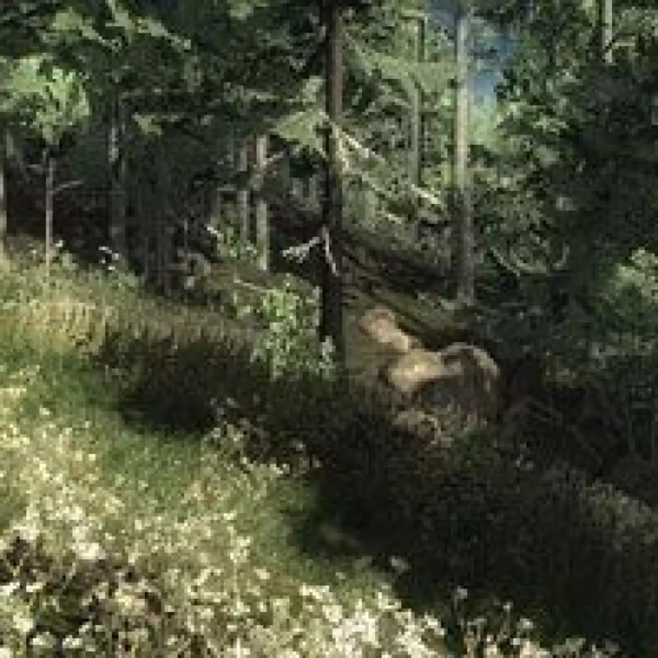 Обзор The Hunter