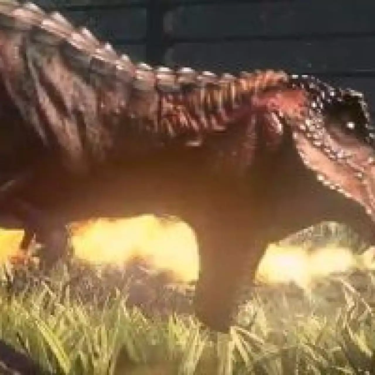 Геймплей альфа версии Primal Carnage