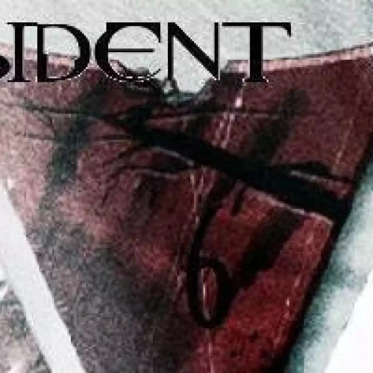 Сканы предистории Resident Evil 6 (Крис)