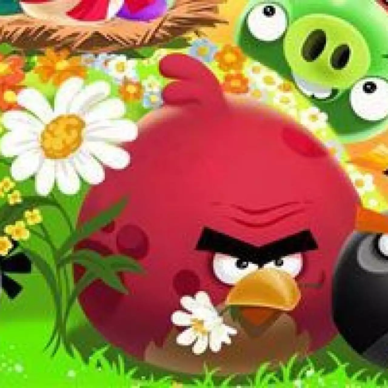Angry Birds берет новую высоту