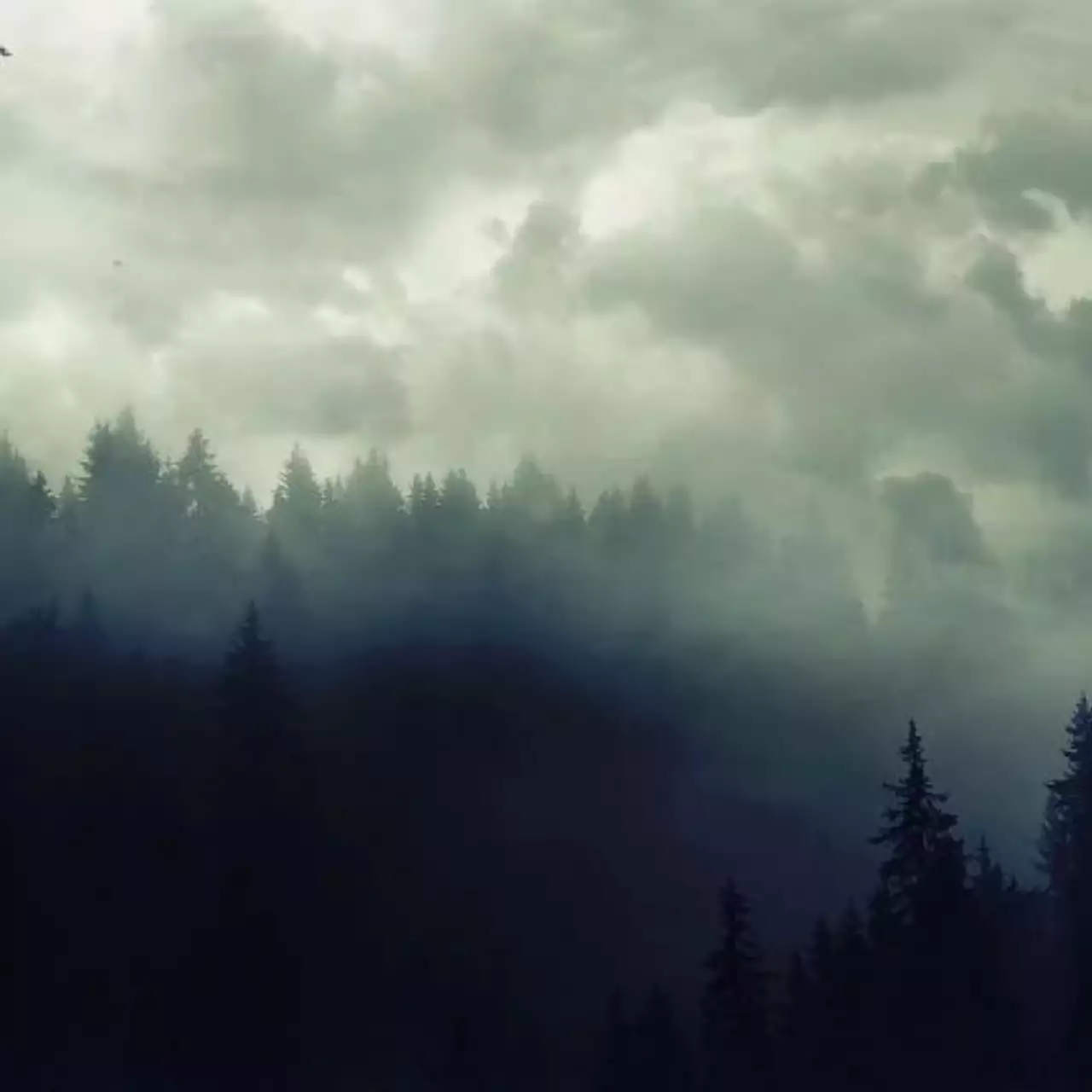 Анонсирована survival/MMORPG про викингов Valnir Rok