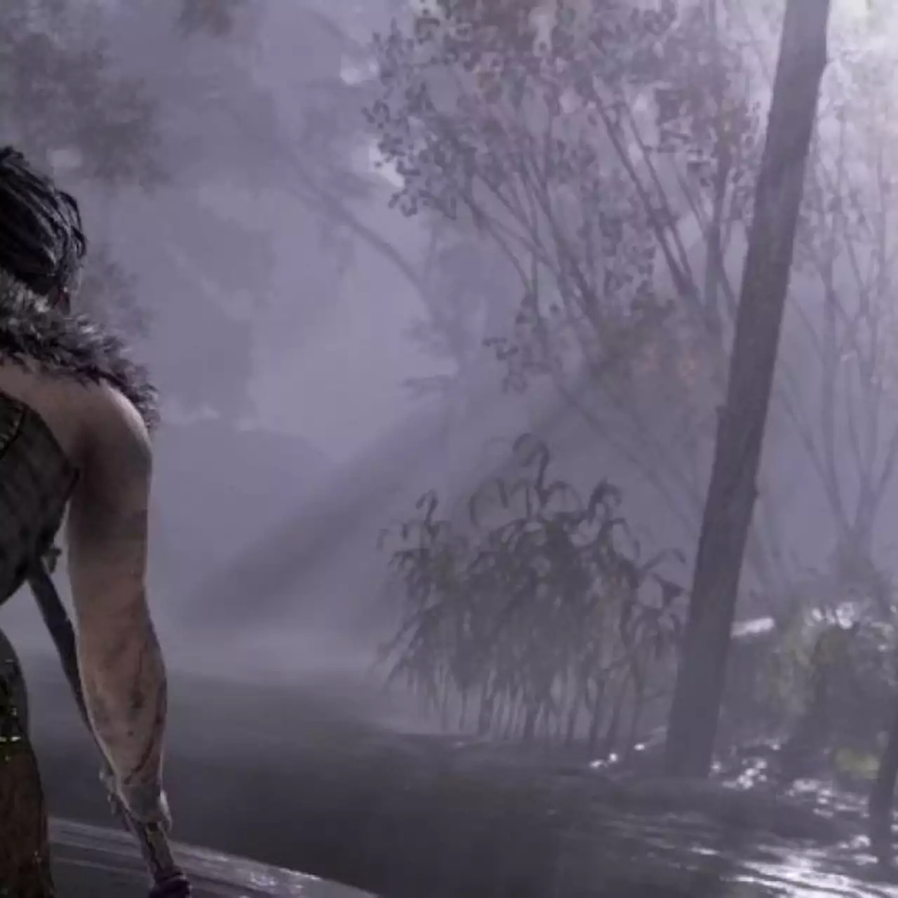 Решение проблем Hellblade: Senua's Sacrifice — не запускается? Вылетает? Тормозит? Решение проблем Hellblade: Senua's Sacrifice — не запускается? Вылетает? Тормозит?