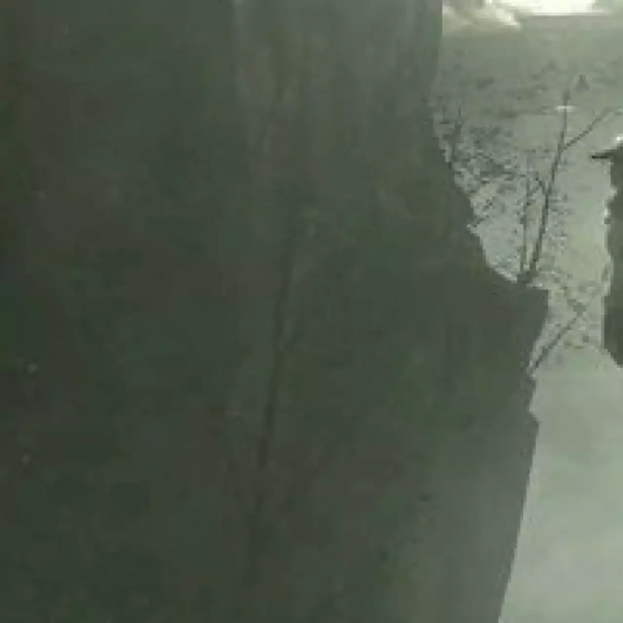 The Last Guardian пропустит Е3 2012 The Last Guardian пропустит Е3 2012