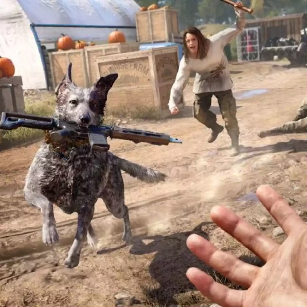Ubisoft представила содержимое коллекционного издания Far Cry 5