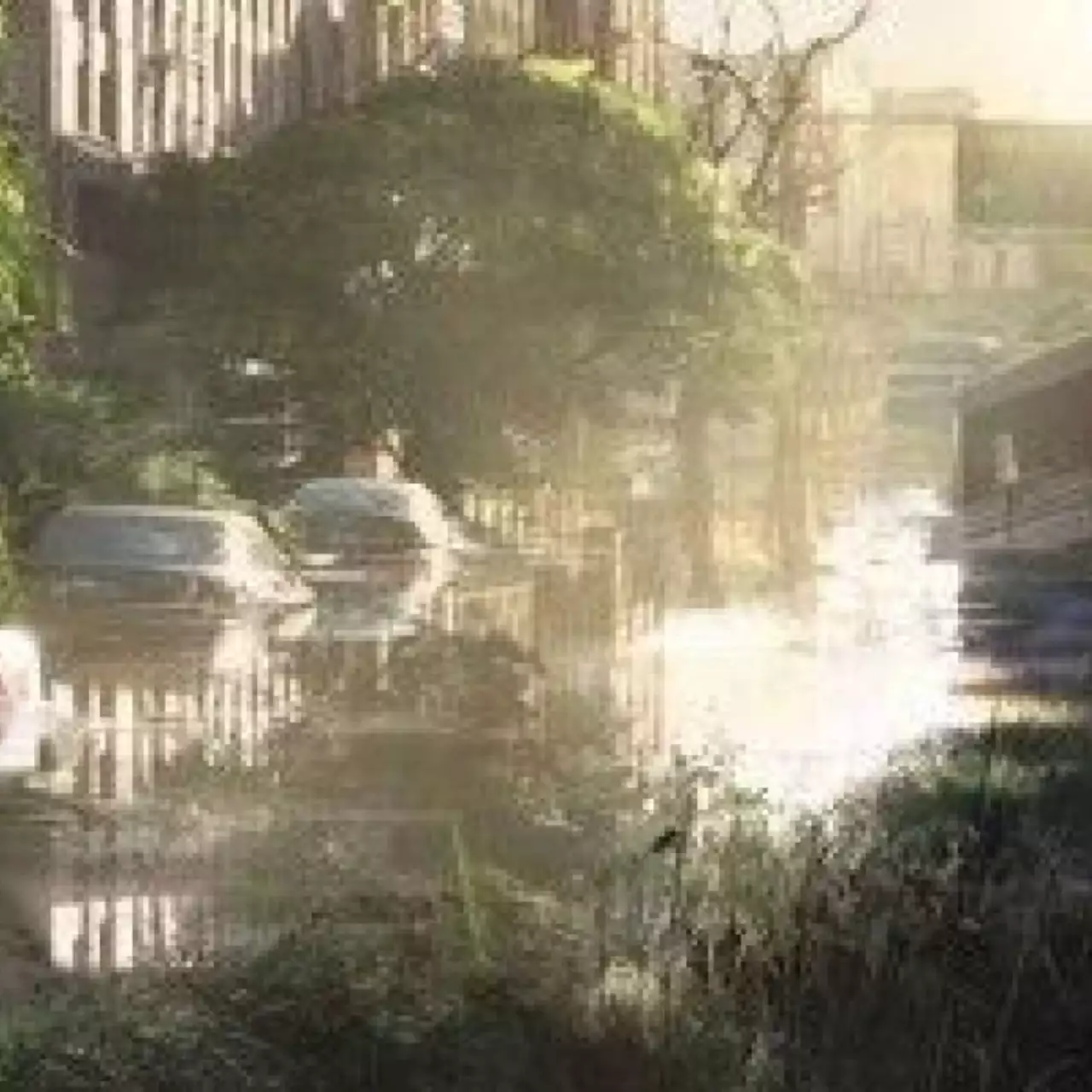 Что нам готовит The Last of Us?