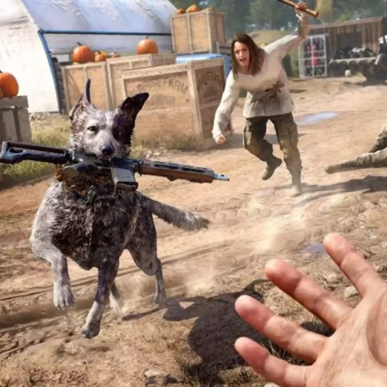 Ubisoft раскрыла детали кооперативного режима в Far Cry 5