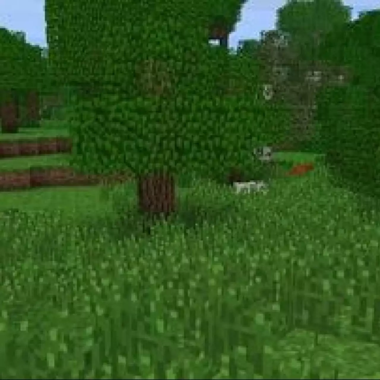 Перссон показал, как будет выглядеть улучшенная трава в Minecraft