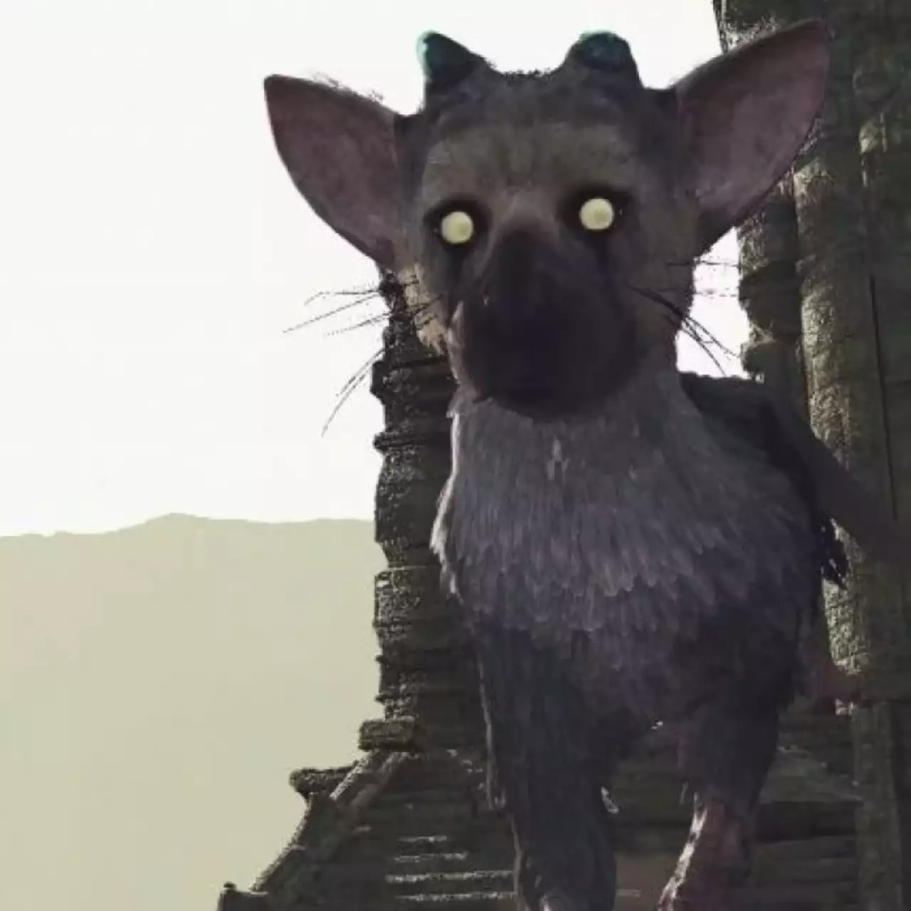 PSX 2017: представлены первые скриншоты The Last Guardian для PSVR, сделанные на PS4 Pro PSX 2017: представлены первые скриншоты The Last Guardian для PSVR, сделанные на PS4 Pro