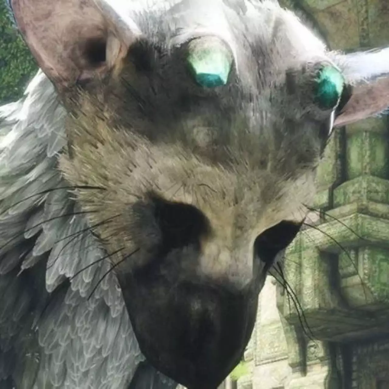 В PS Store вышла демка VR-версии The Last Guardian. Опубликовано 10 минут геймплея В PS Store вышла демка VR-версии The Last Guardian. Опубликовано 10 минут геймплея