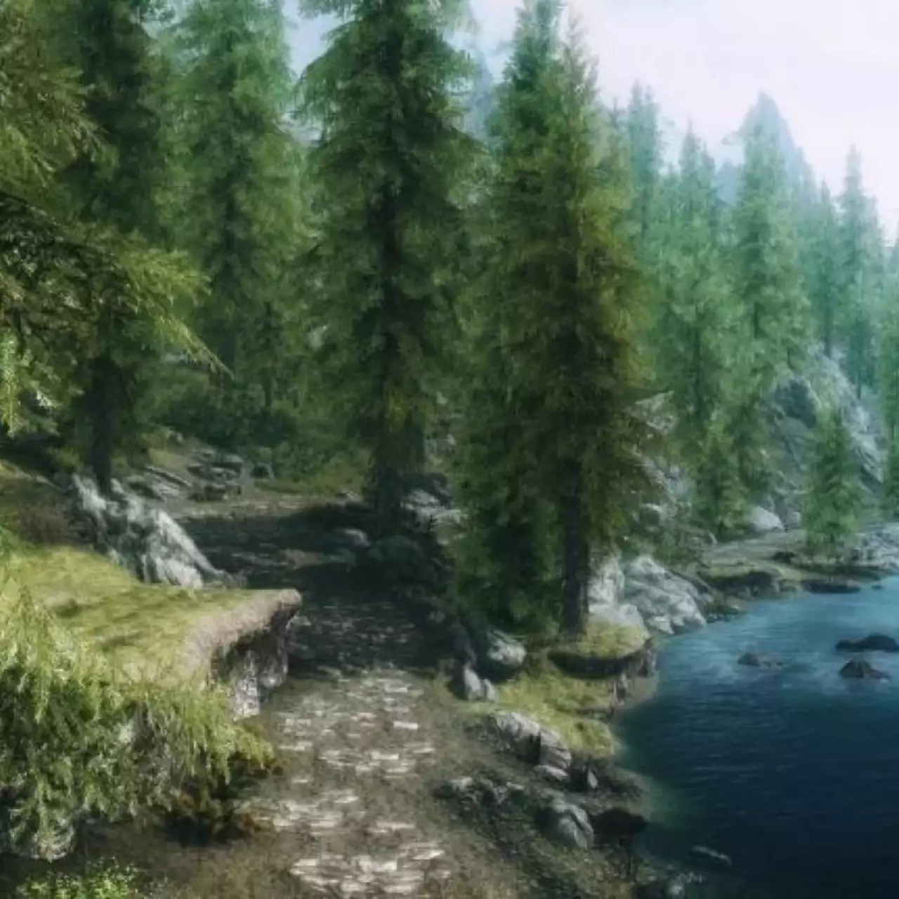 В Skyrim добавили высококачественную растительность с 2K текстурами В Skyrim добавили высококачественную растительность с 2K текстурами