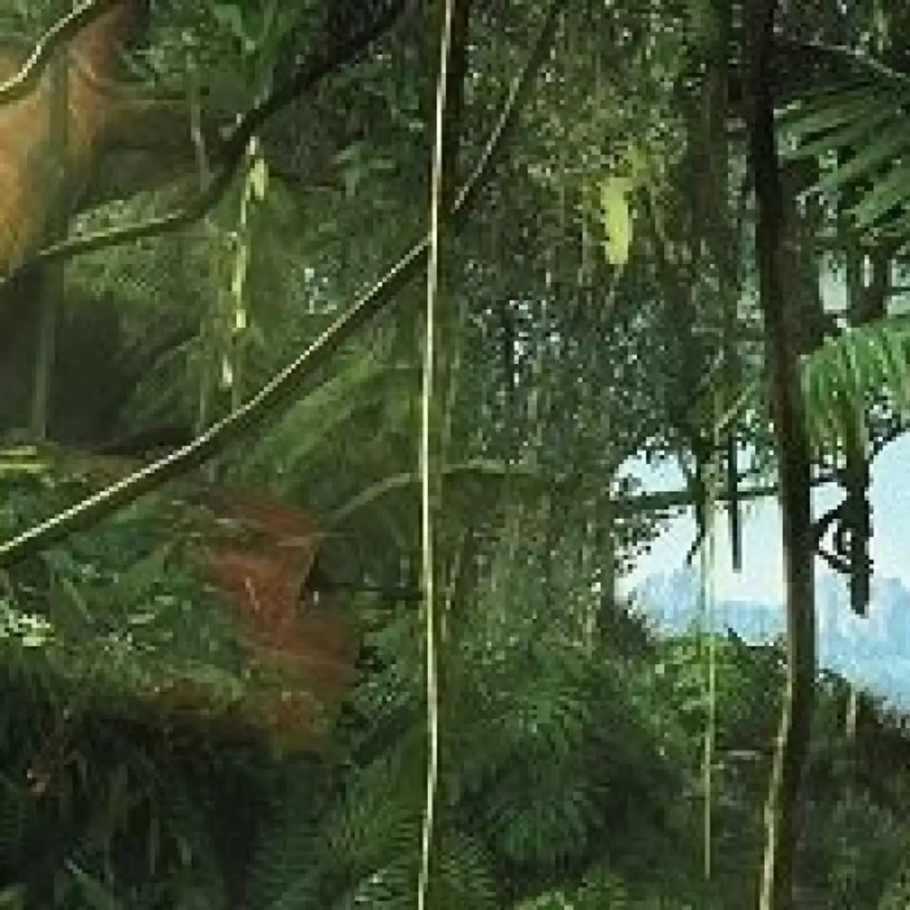 Far Cry 3: два новых видео