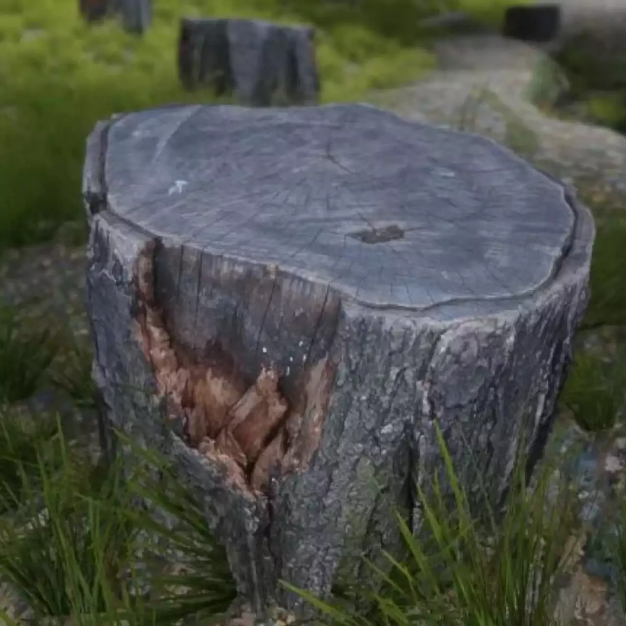 В Skyrim добавили сверхреалистичные модели и текстуры, созданные при помощи фотограмметрии В Skyrim добавили сверхреалистичные модели и текстуры, созданные при помощи фотограмметрии