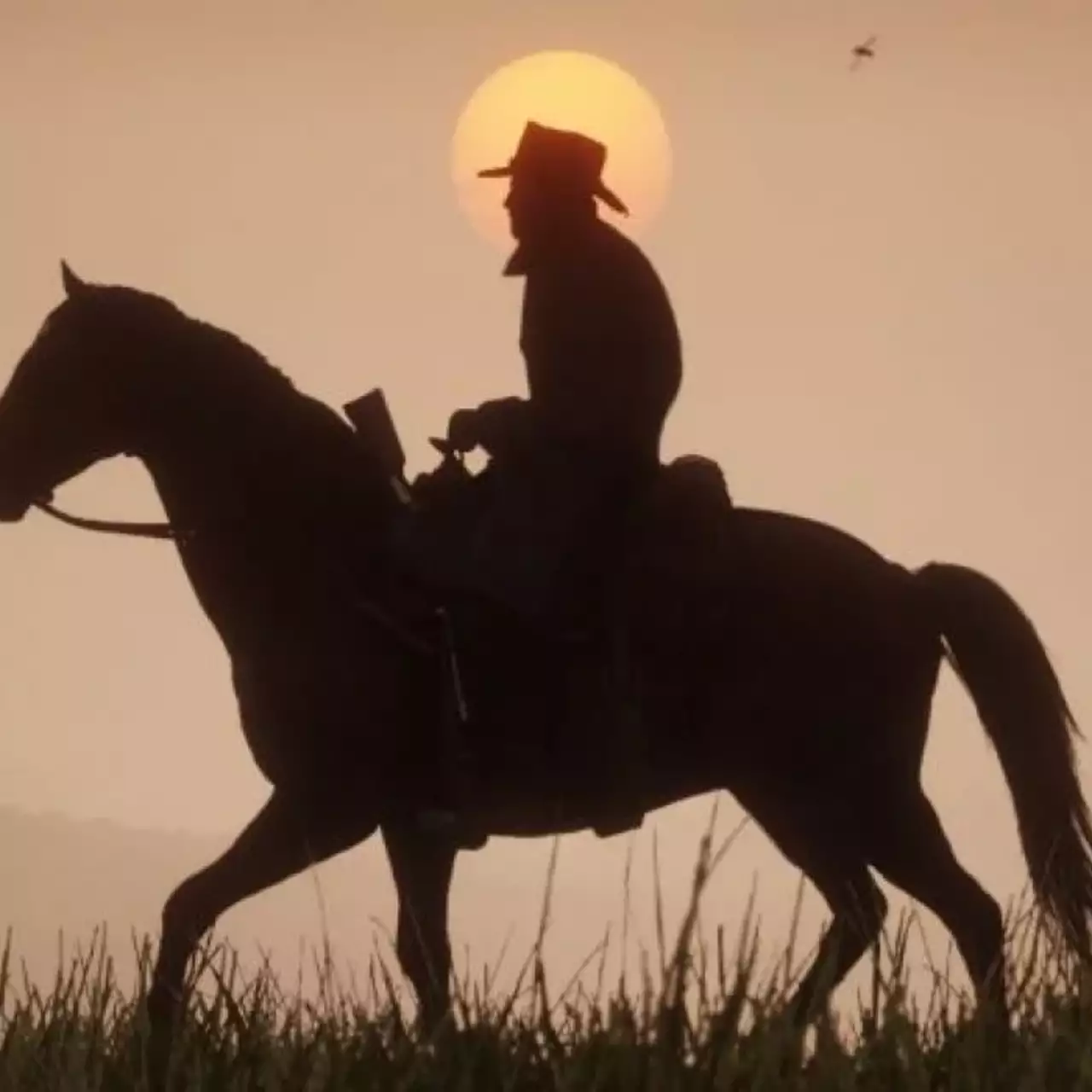 Слух: в Red Dead Redemption 2 добавят «королевскую битву» и режим от первого лица