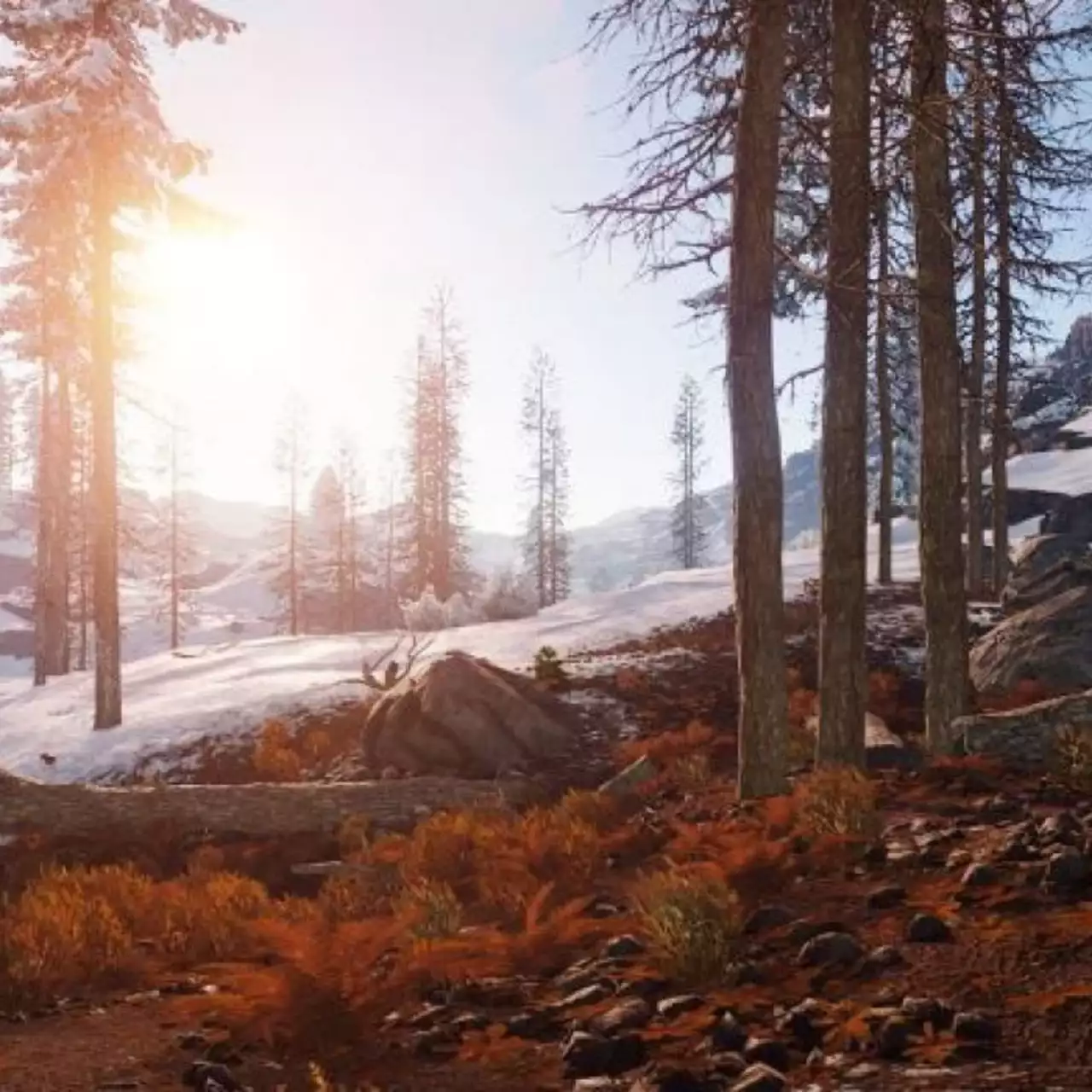 Rust вышла из раннего доступа Steam. Мнения геймеров разделились Rust вышла из раннего доступа Steam. Мнения геймеров разделились