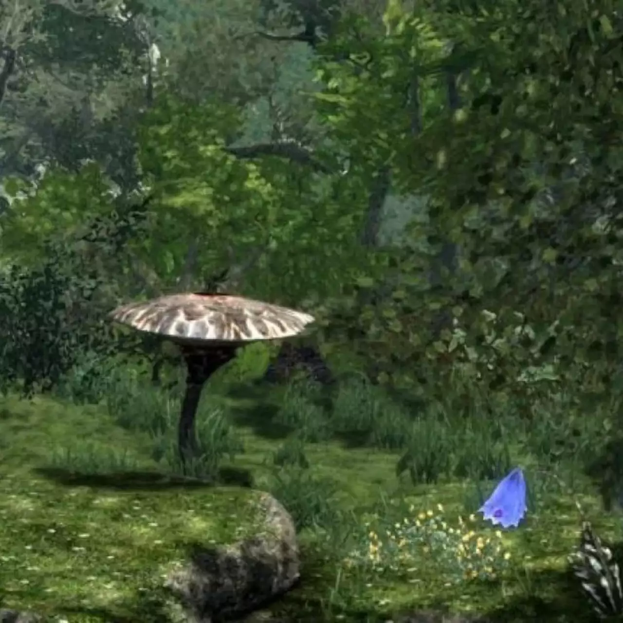 Опубликован тизер мода, добавляющего Morrowind в Skyrim Опубликован тизер мода, добавляющего Morrowind в Skyrim