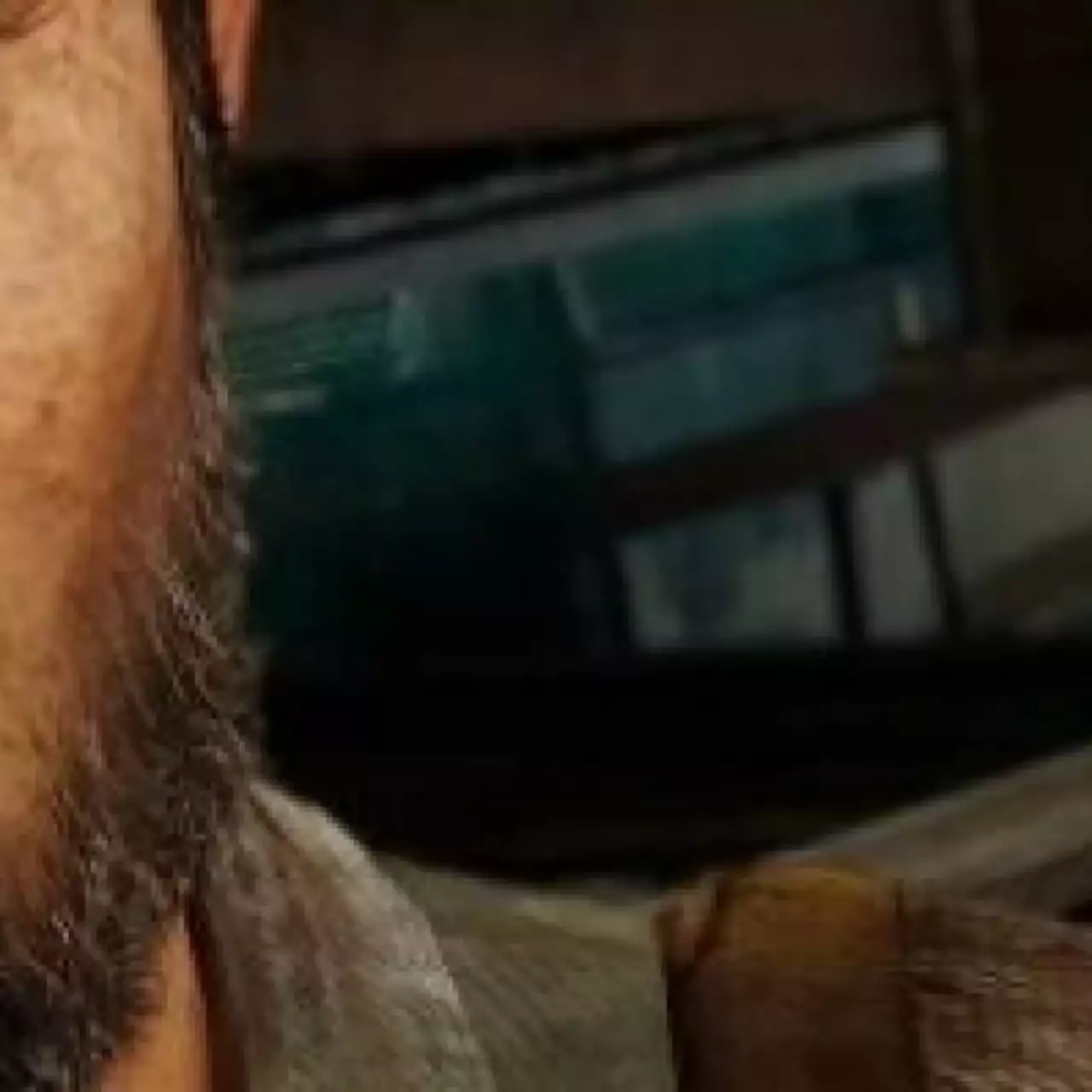 The Last of Us не выйдет в 2012 The Last of Us не выйдет в 2012