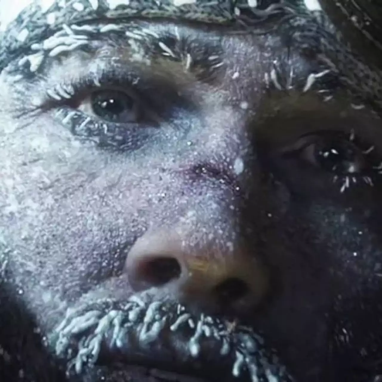 Появились оценки Frostpunk от создателей This War of Mine — великолепно Появились оценки Frostpunk от создателей This War of Mine — великолепно